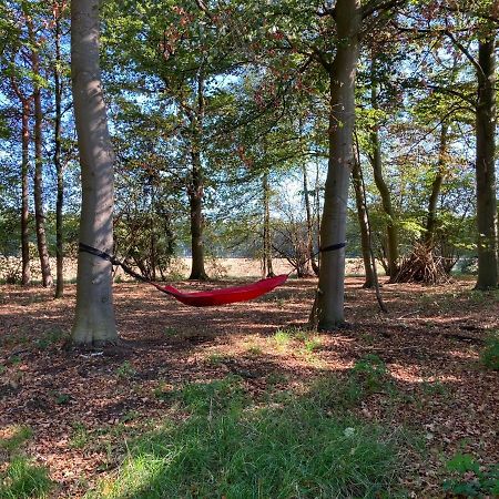 Zum Heuerling Ferienwohung Im Alten Stall Mit Sauna 벨스몰드 외부 사진